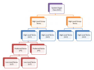 Introduction to MedDRA: | JLI Blog